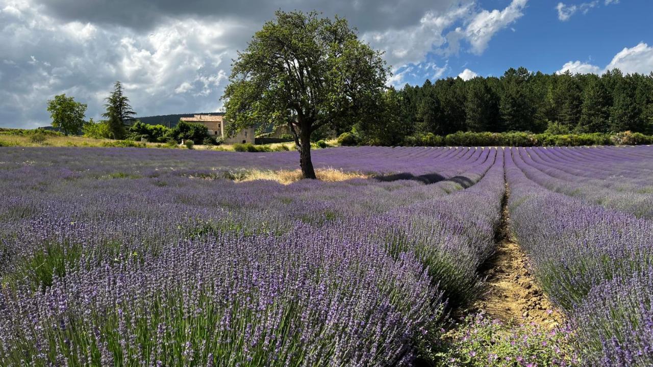 לינה וארוחת בוקר Piolenc Santolines En Provence מראה חיצוני תמונה