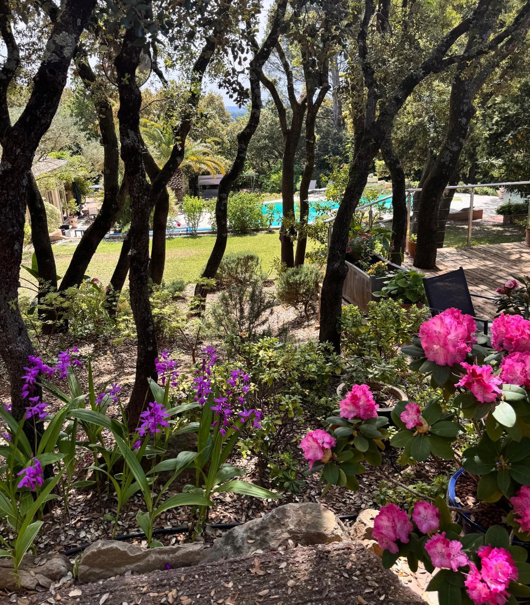 לינה וארוחת בוקר Piolenc Santolines En Provence מראה חיצוני תמונה